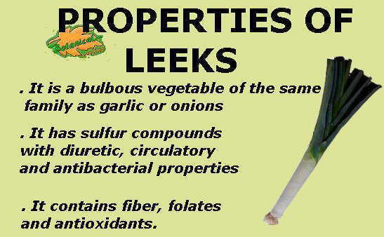properties of the leek