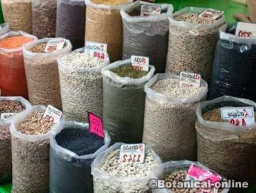 Legumes in a market.