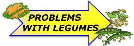 problems with legumes