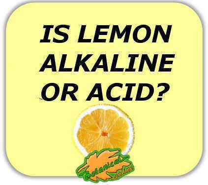 lemon alkaline or acid