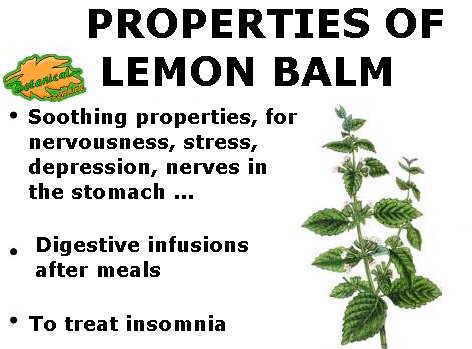 Main medicinal properties of lemon balm