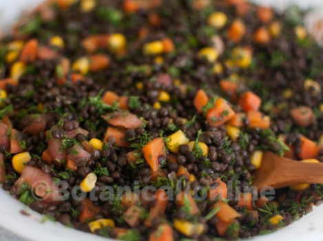 lentils salad