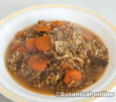 vegetarian lentils