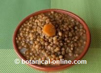 Vegetarian lentils