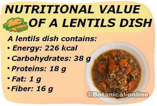 Lentils nutritional composition