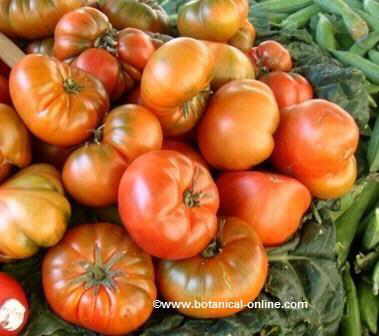 Lycopene in tomatoes