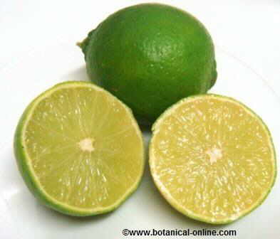 Lime,fruit