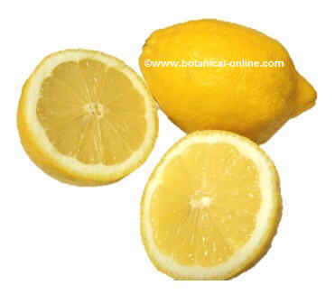 Lemons