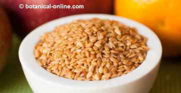 Photo of flax seeds