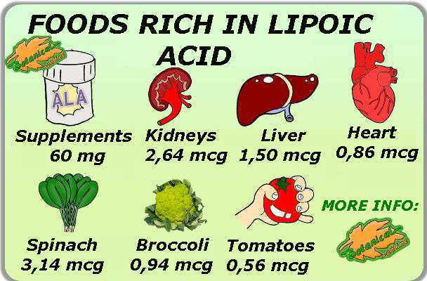 Foods richest in lipoic acid in the diet