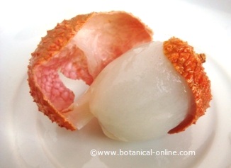 Photo of lychee peeled.