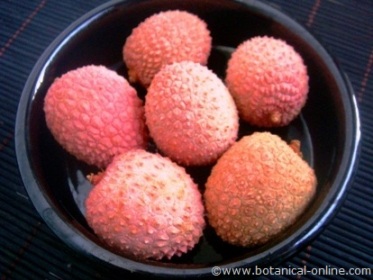 lychees in a tub,