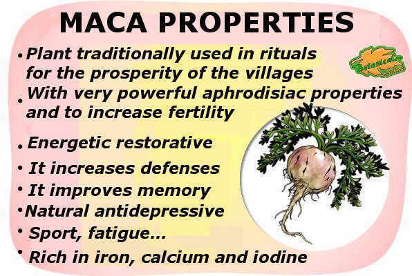 maca properties