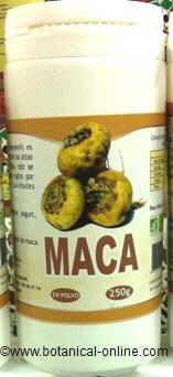 Supplement of maca