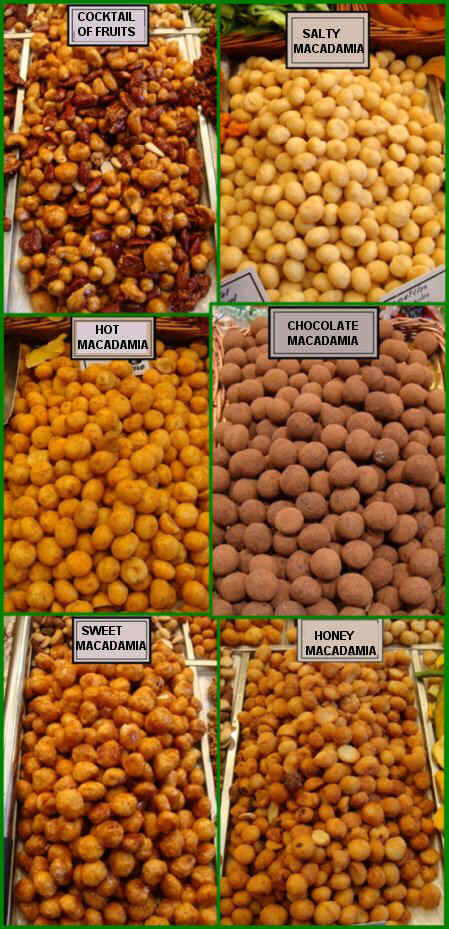 Different types of macadamia nuts