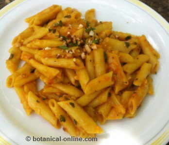 macarrones con tomate vegetarianos