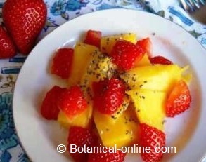 fruits for sport