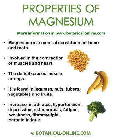 Magnesium properties