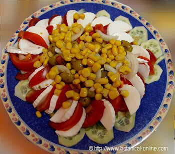 Corn salad