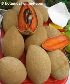 mamey cut