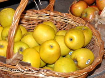 apples for bad breath