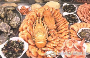 Photo of shellfish 