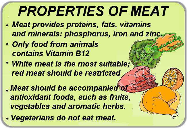 properties and benefits of meat