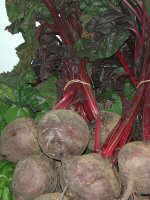 beetroot