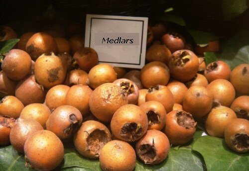 common medlars