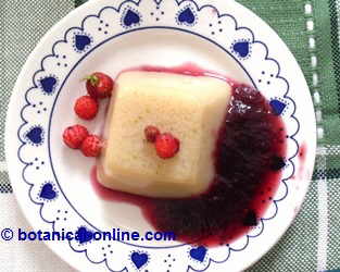 Agar agar gelatin with flowers