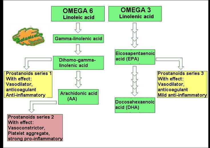 products that are formed from the fatty acids