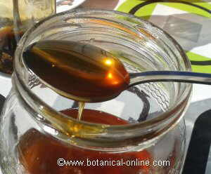 chestnut honey