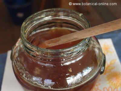 chesnut honey