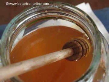 Thyme honey