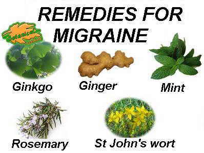 Main plants for migraine