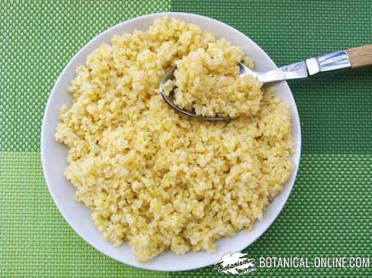 Dish of cooked millet 