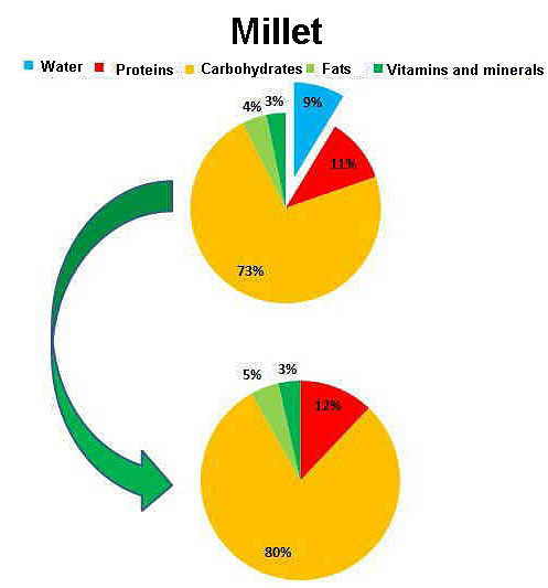 Nutrients of millet