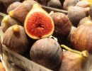 figs