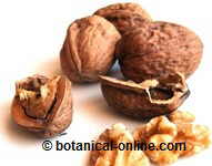 walnuts