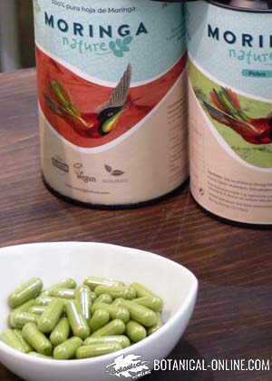 Capsules of moringa 