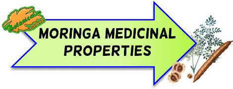 moringa properties