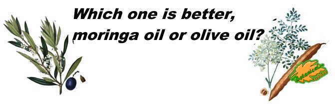 olive oil, or moringa.