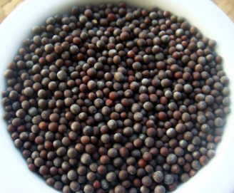 black mustard seeds