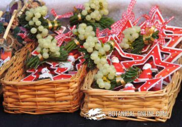 Photo of mistletoe at a Christmas market