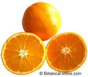 Photo of oranges