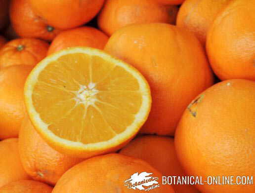 Photo of oranges in a market, showing their pulp