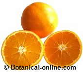 oranges with vitamin C