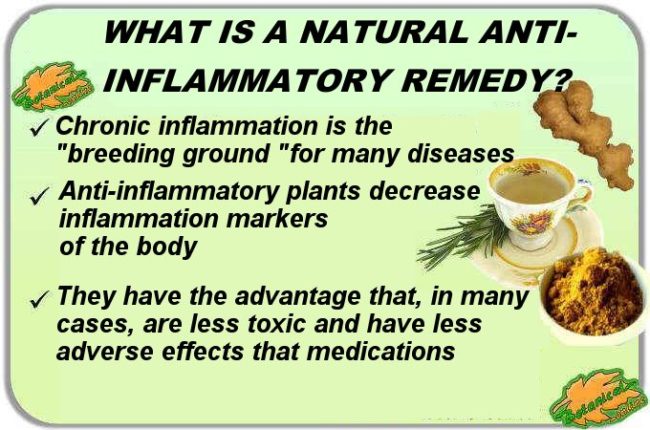 natural anti-inflammatory plants remedies