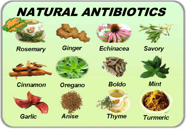 natural antibiotics
