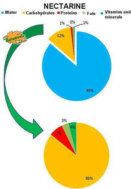 nectarine composition